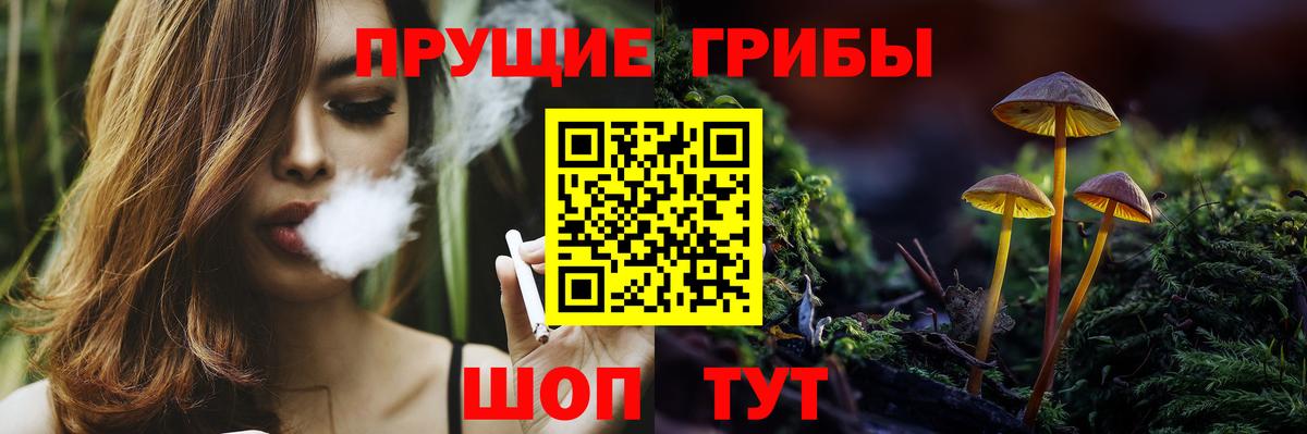 магазин продажи наркотиков  Галлюциногенные грибы GOLDEN TEACHER  Галлюциногенные грибы Cubensis  Вход с VPN  Волгоград 