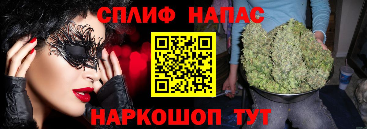 Бошки Шишки гибрид Волгоград